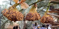 البرلمان التركي يصادق على رفع كوته إعفاء التمور الفلسطينية من الجمارك