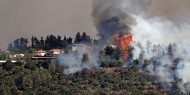 خاص بالفيديو|| "حرائق القدس" تكشف عن جرائم الاحتلال بحق الأرض والفلسطينيين على مدار 70 عامًا