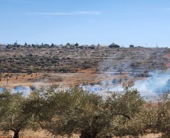 الاحتلال يقمع فعالية لمساندة قاطفي الزيتون في قصرة ويجبرهم على مغادرة أراضيهم