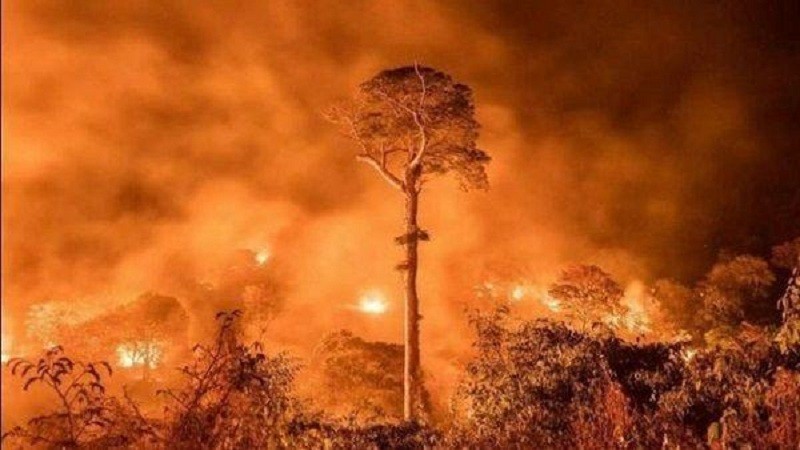 بالفيديو مشاهد صادمة من حرائق غابات الأمازون قناة الكوفية الفضائية