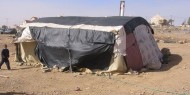 مواطنون يرغمون الاحتلال على إزالة خيمة استيطانية شرق الخليل