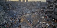 مقررة أممية: الإبادة الجماعية بغزة لن تنتهي دون ضغوط خارجية ويجب فرض عقوبات على إسرائيل