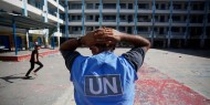 «أونروا»: مقتل 199 موظفا في الأمم المتحدة منذ بدء العدوان الإسرائيلي على قطاع غزة