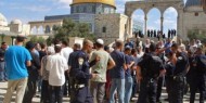 المفتي يحذر من تداعيات شرعنة أداء طقوس تلمودية في المسجد الأقصى