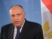 وزير الخارجية المصري: سنواصل العمل بما يحقق مصلحة الشعب الفلسطيني