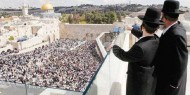 حمامرة: دعوات الهيكل المزعوم لاقتحام الأقصى تهدف لبسط سيطرتها على القدس
