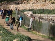 الاحتلال يقتحم برك سليمان جنوب بيت لحم