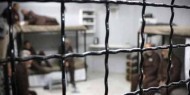الاحتلال يجدد الاعتقال الإداري لأمين سر «فتح» في تقوع