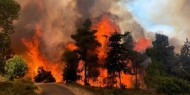 وفاة شخصين وإصابة 23 آخرين بحريق غابات في شرق الجزائر