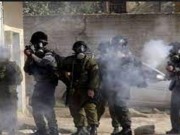 الاحتلال يطلق قنابل الغاز صوب مدرسة طارق بن زياد في الخليل