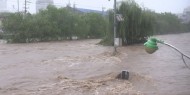 مصرع 8 أشخاص جراء فيضان نهر في المكسيك