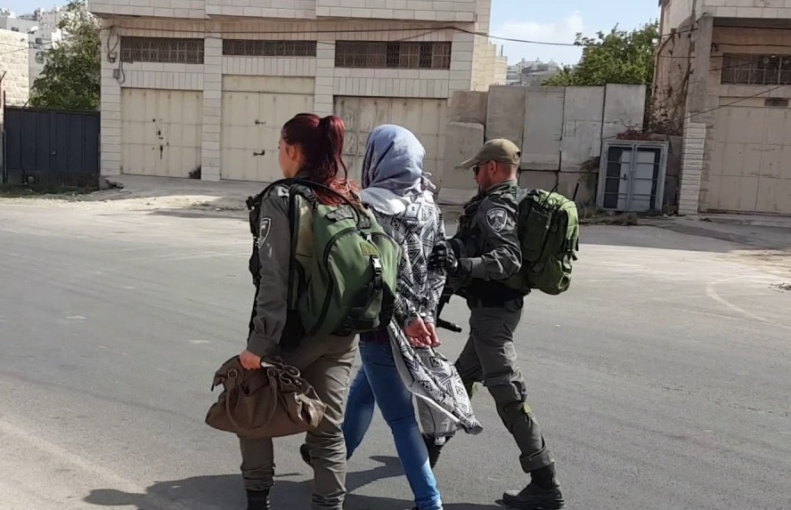 أرشيفية