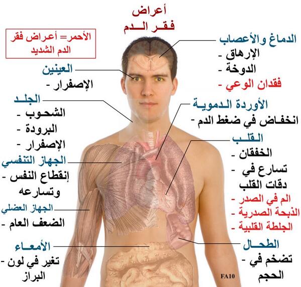 اعراض فقر الدم